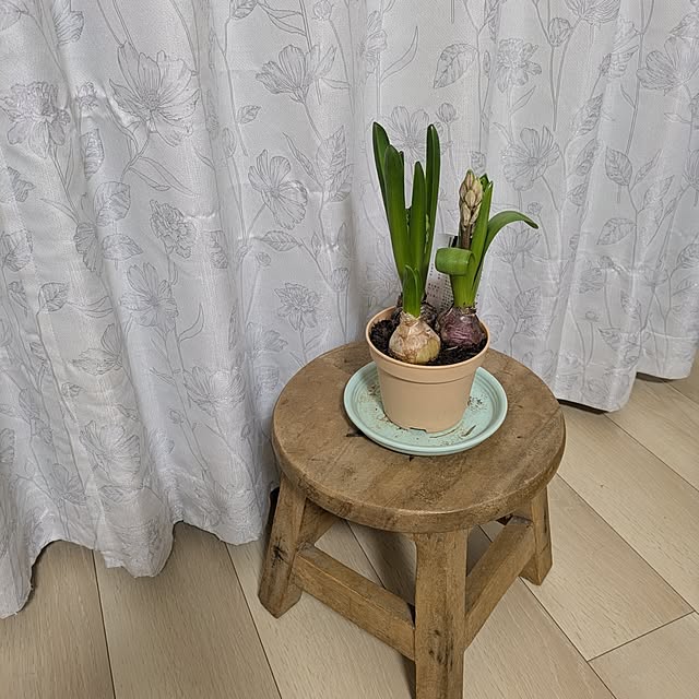 minnieさんの部屋