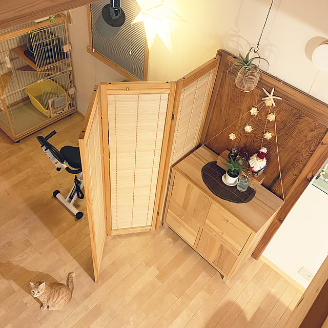 部屋全体/IKEA/クリスマス/二世帯住宅の二階/猫のいる暮らしのインテリア実例 - 2024-12-16 19:36:00