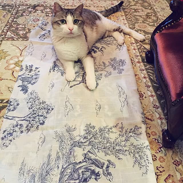 emmyyさんの実例写真