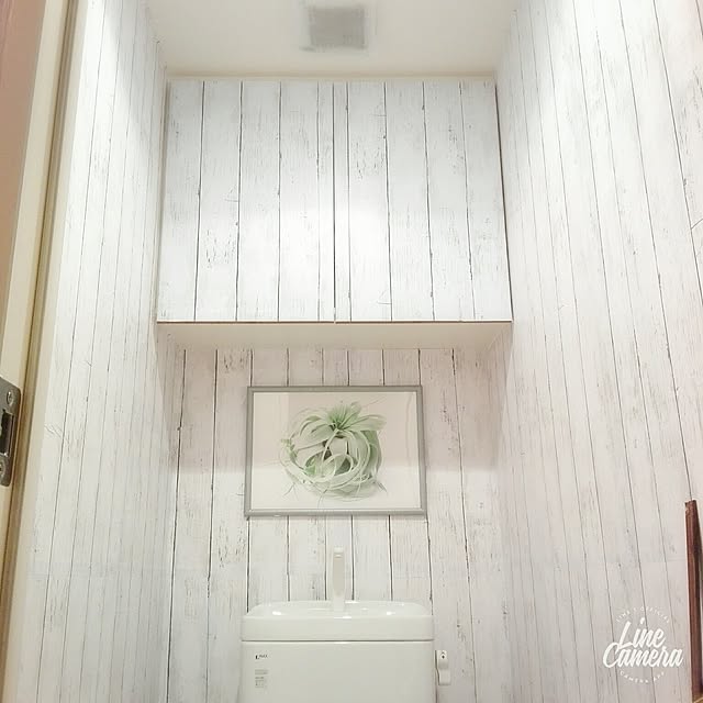 nonさんの実例写真