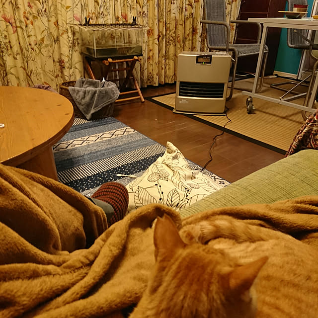 okyosan101さんの実例写真