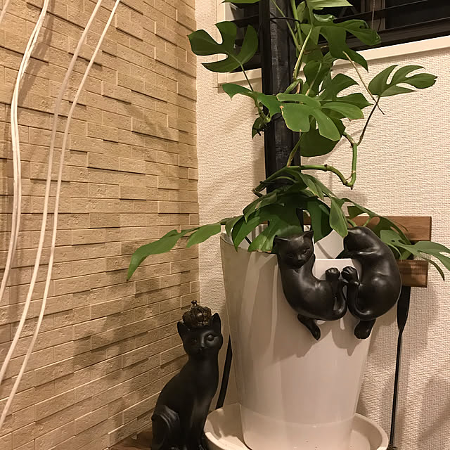 MIUさんの実例写真