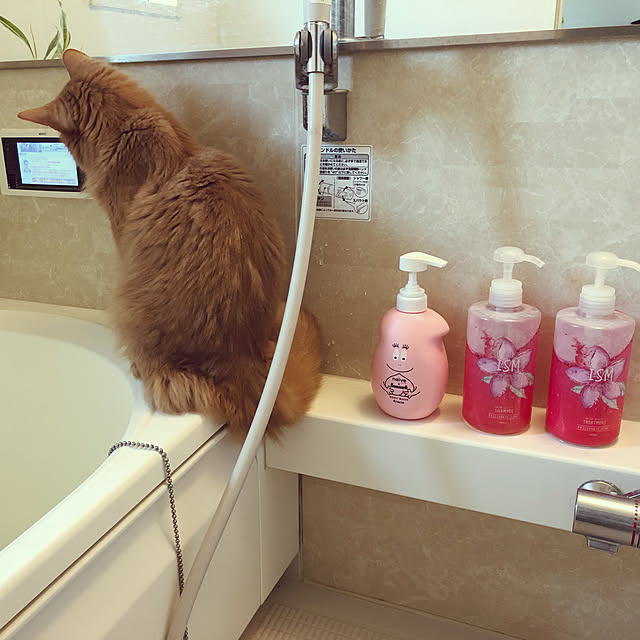 jugariさんの実例写真