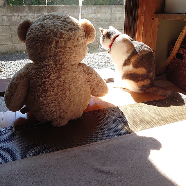 fukuさんの実例写真