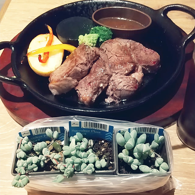 noaさんの実例写真