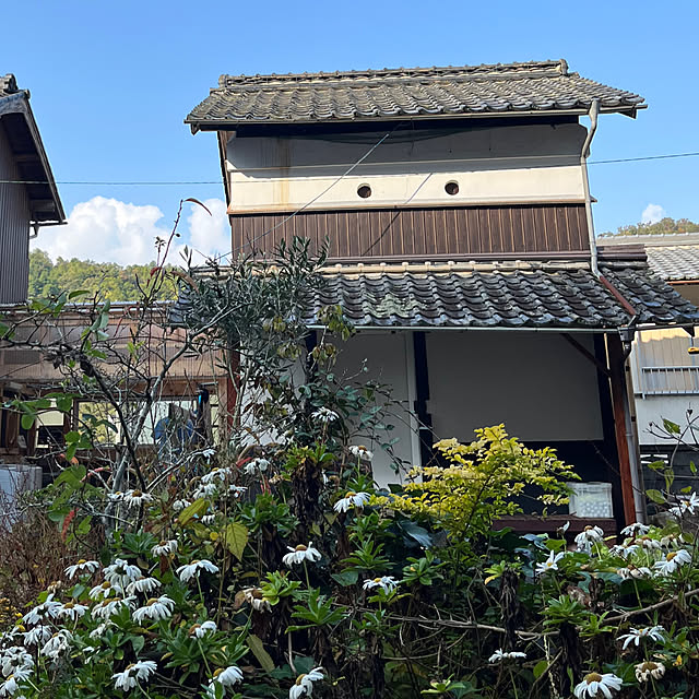 cotaさんの実例写真