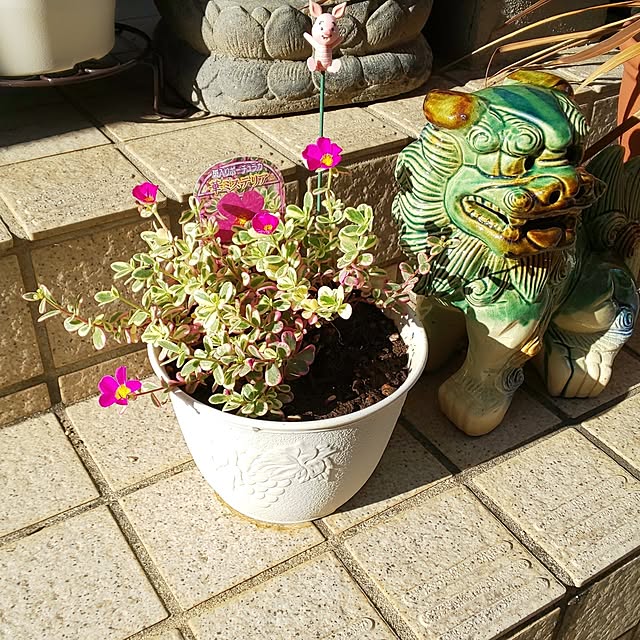 yumiyumiさんの実例写真