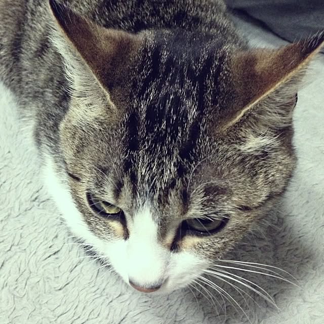 manaminnさんの実例写真