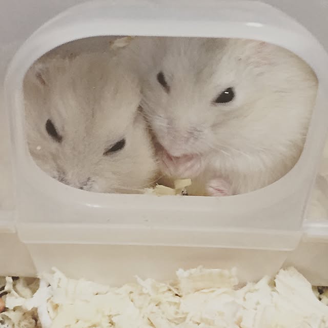 manaさんの実例写真