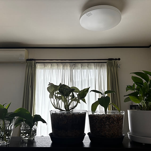 mska1114さんの実例写真