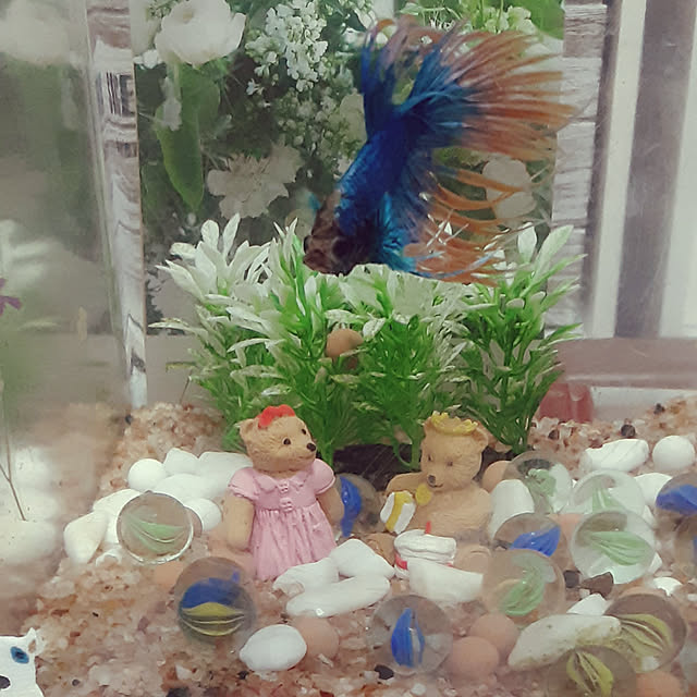 sueponさんの実例写真