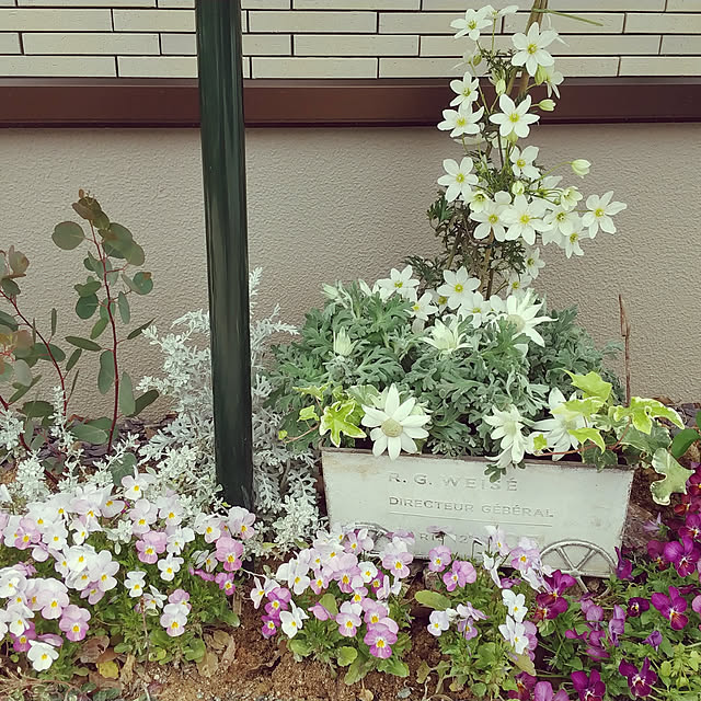 nonhoiさんの実例写真