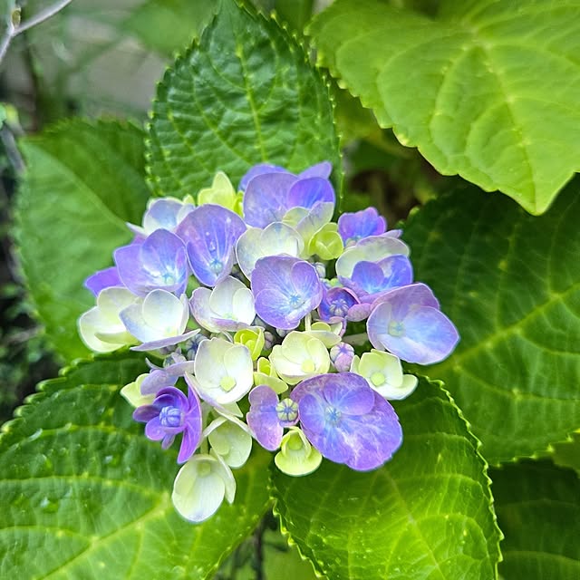 min_nimさんの実例写真