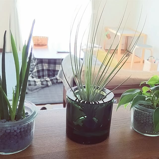 mihoccoさんの実例写真