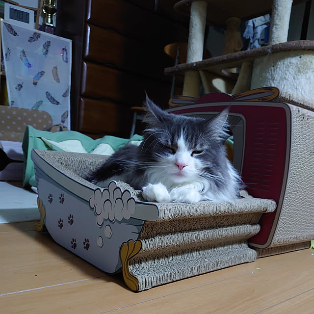 shinobuさんの実例写真