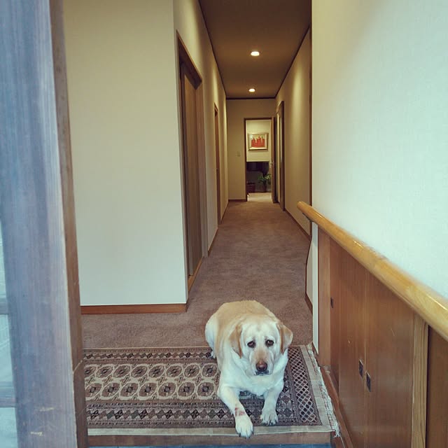 goldbergさんの実例写真