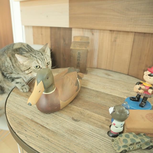 haruhouseさんの実例写真