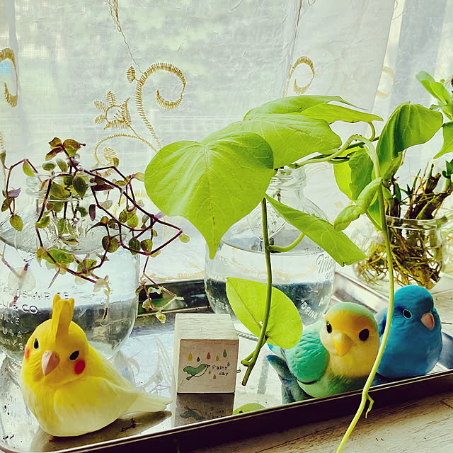 CoCo0617さんの実例写真