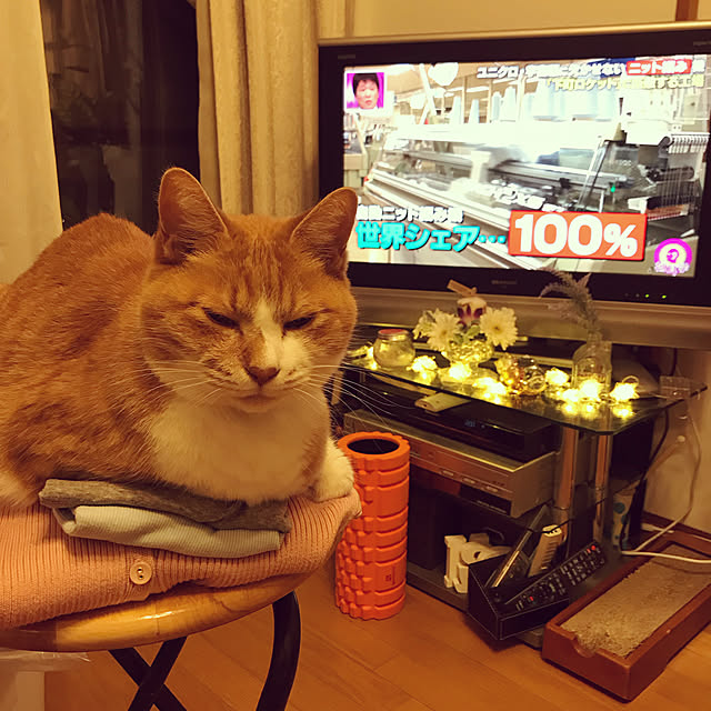 lavie0125さんの実例写真