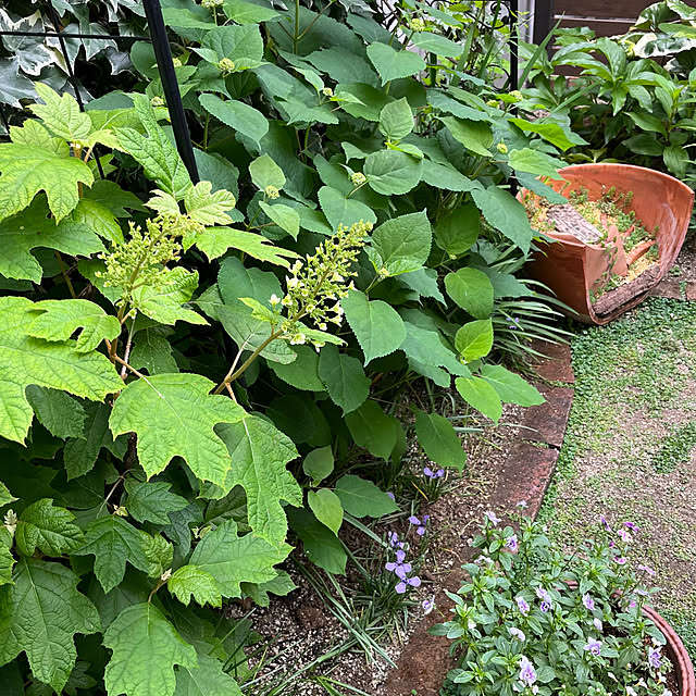 kuuさんの部屋