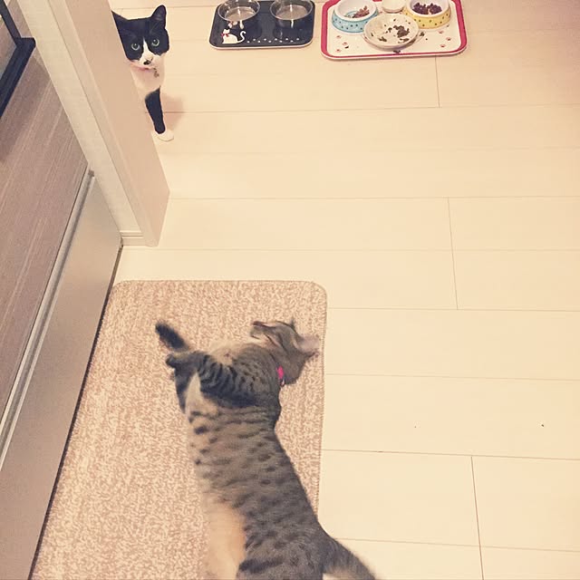 kirinさんの実例写真