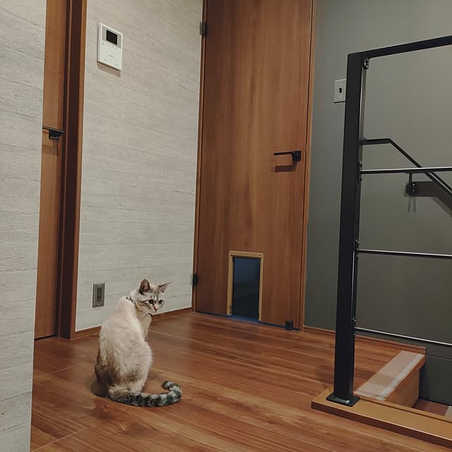Atelier_tamakiさんの部屋