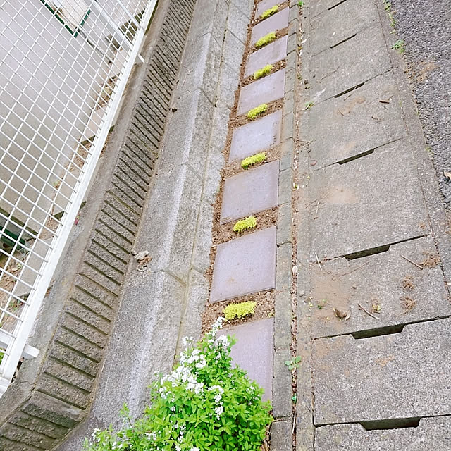 sakura1128さんの実例写真