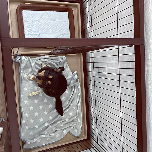hashikaさんの実例写真