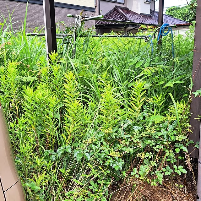 noaさんの部屋