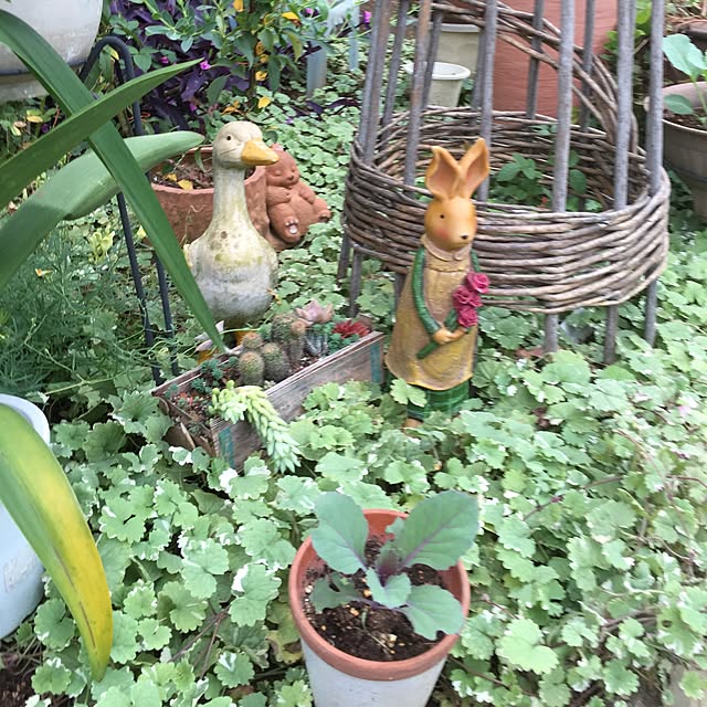 sakoさんの実例写真