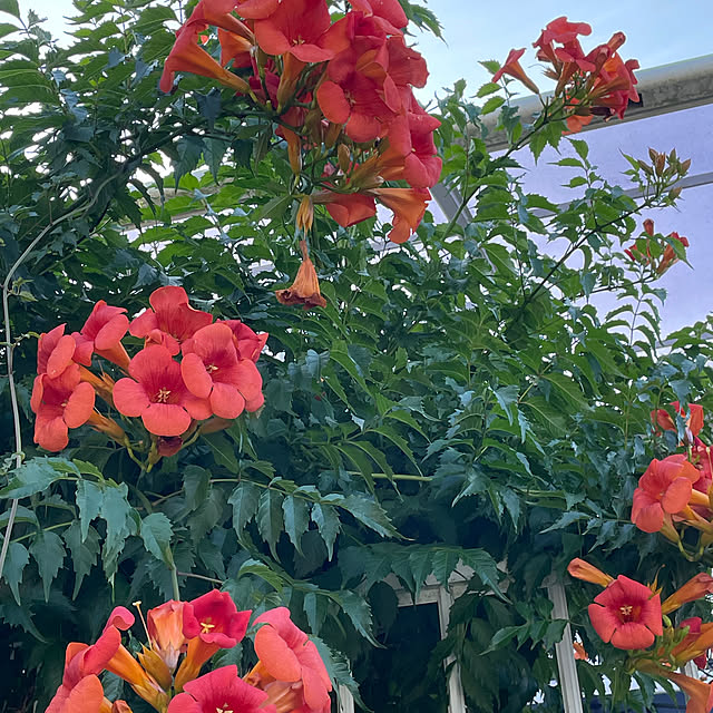 Andaluciaさんの部屋