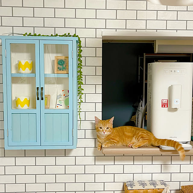misa.n.0016さんの実例写真