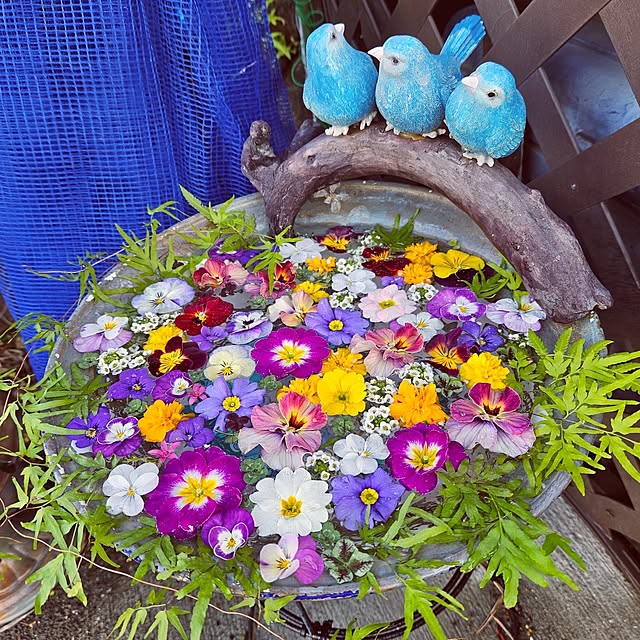 mocomocoさんの実例写真
