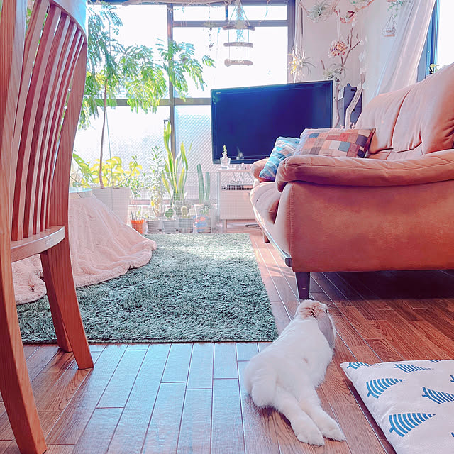 Llatte-usaさんの実例写真