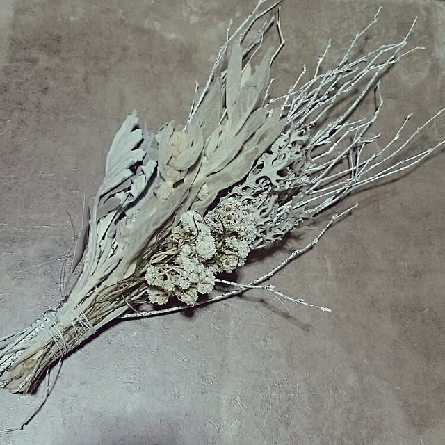 mademoisellenoaさんの実例写真