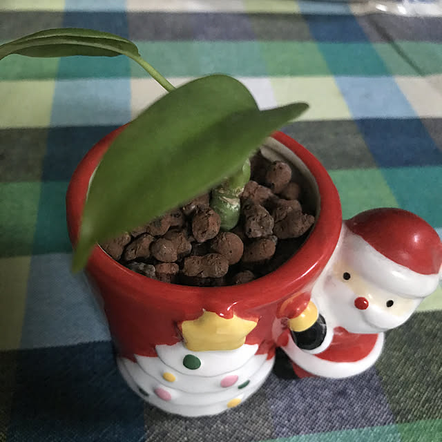 yoppiさんの実例写真