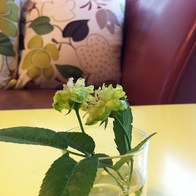 Mrsrerereさんの実例写真