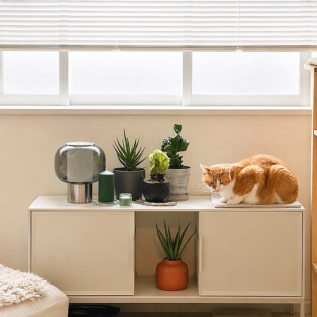 mako2yaさんの部屋