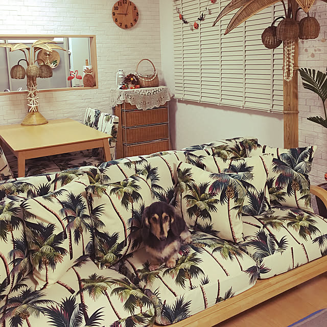 kiyomiさんの実例写真