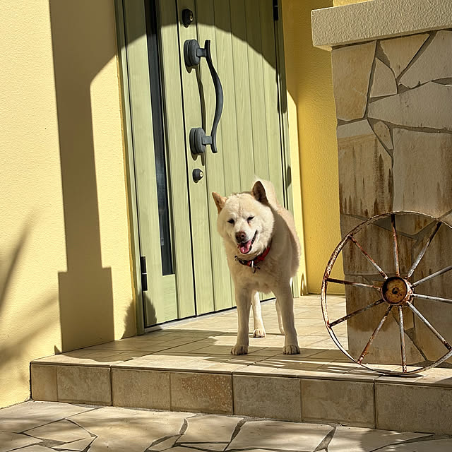 bu-bu-chanさんの実例写真