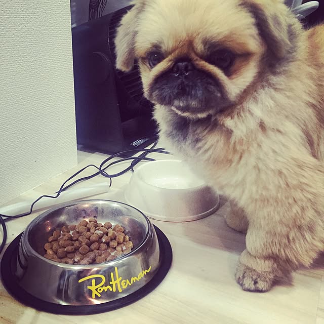 Eijiさんの実例写真