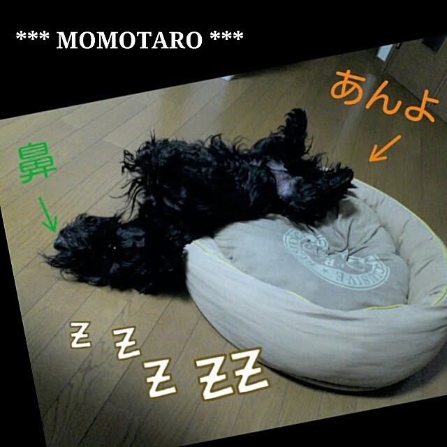 cedarrosemamさんの実例写真