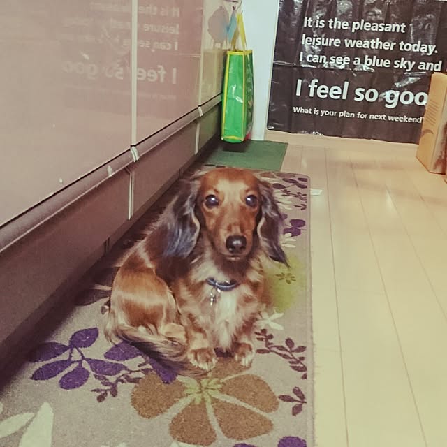 andさんの実例写真