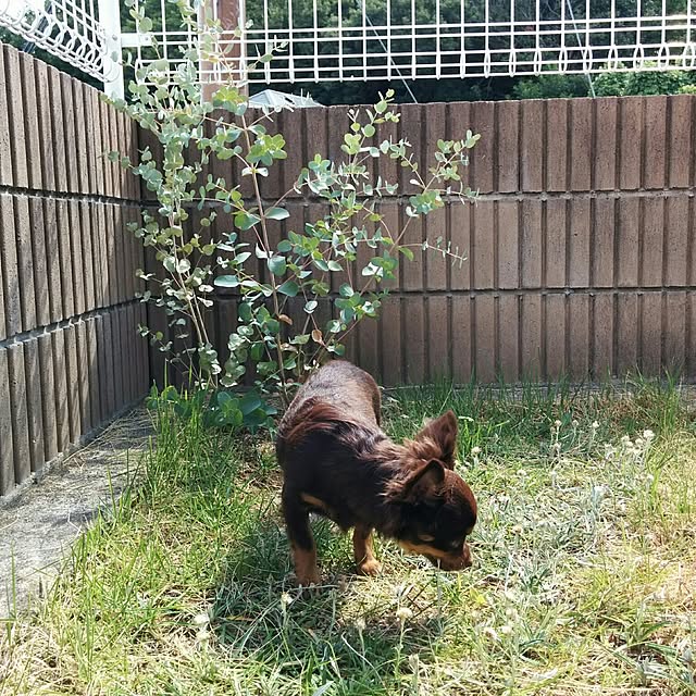 miyuさんの実例写真