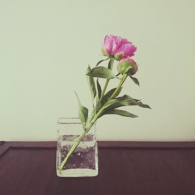 yuinko87さんの実例写真