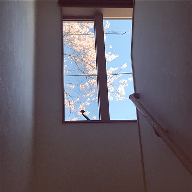kaoさんの実例写真