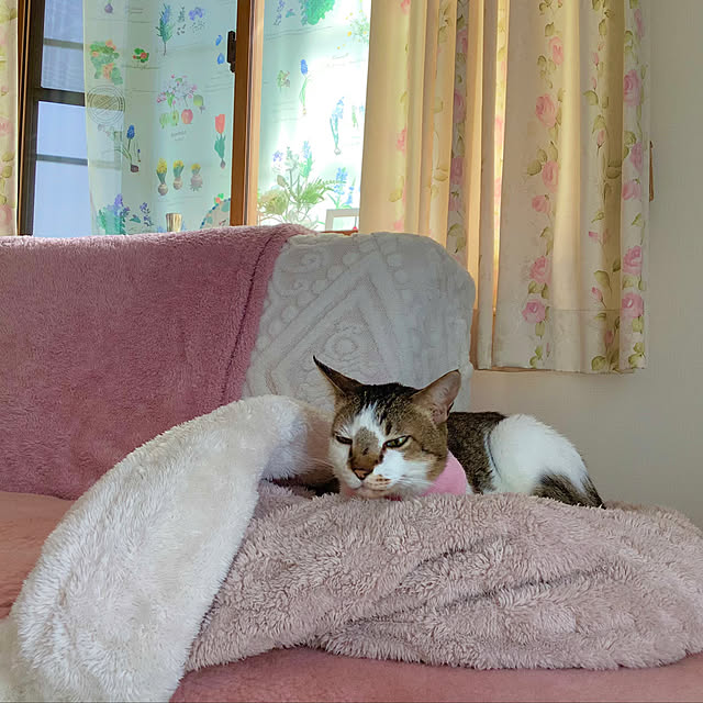 haruminさんの部屋