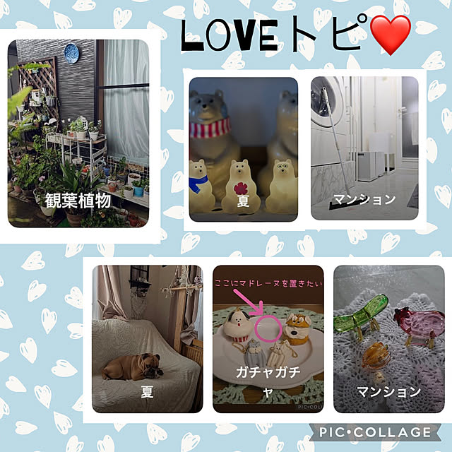 CoCo0617さんの実例写真