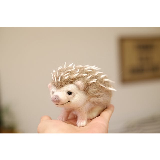 taka55さんの実例写真