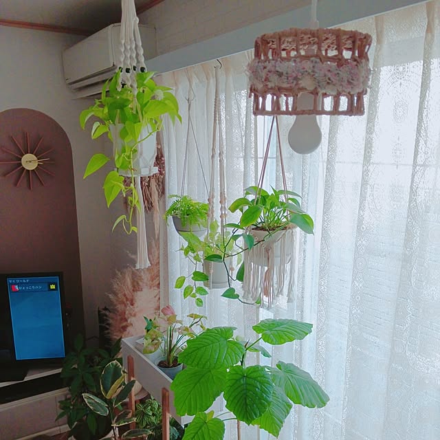 rumi_ebiさんの実例写真